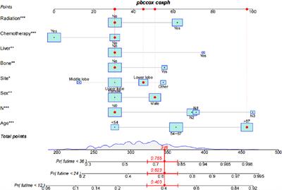 The nomogram for the prediction of overall survival in patients with metastatic lung adenocarcinoma undergoing primary site surgery: A retrospective population-based study